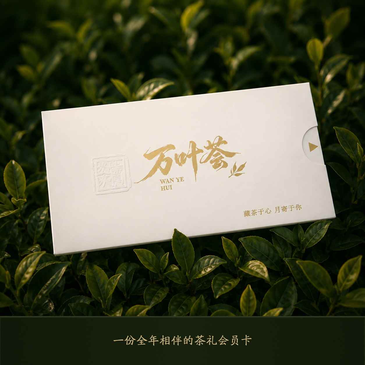 万叶荟会员