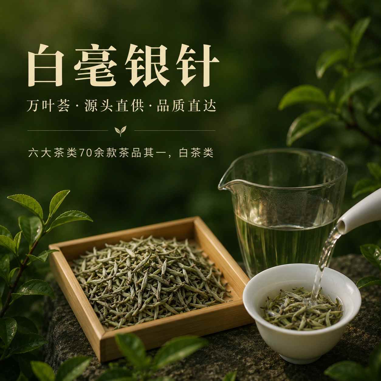 万叶荟茶山